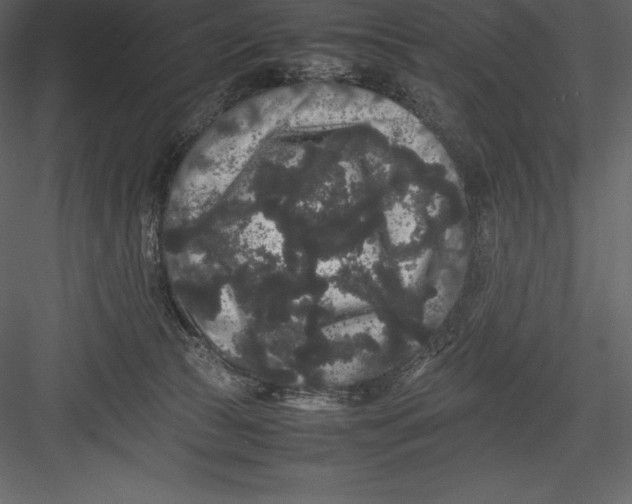 X0000082940177200702222256