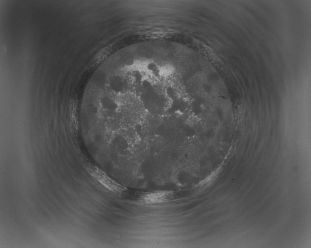 X0000082940178200702222256