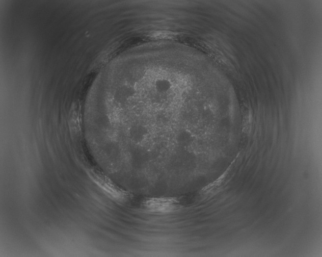 X0000082940179200702222256