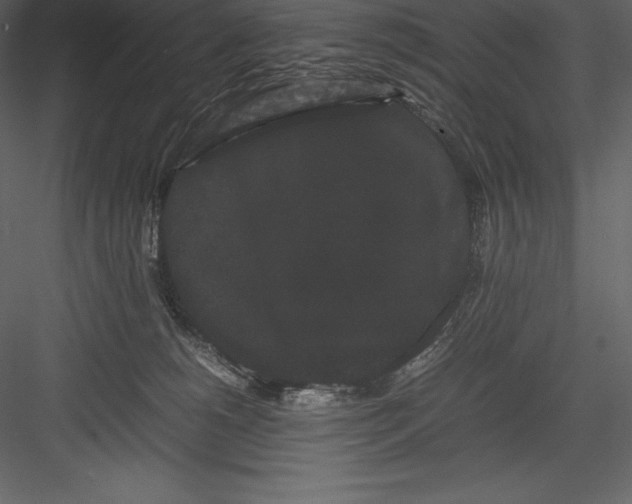 X0000082940180200702222256