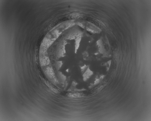 X0000082940181200702222256