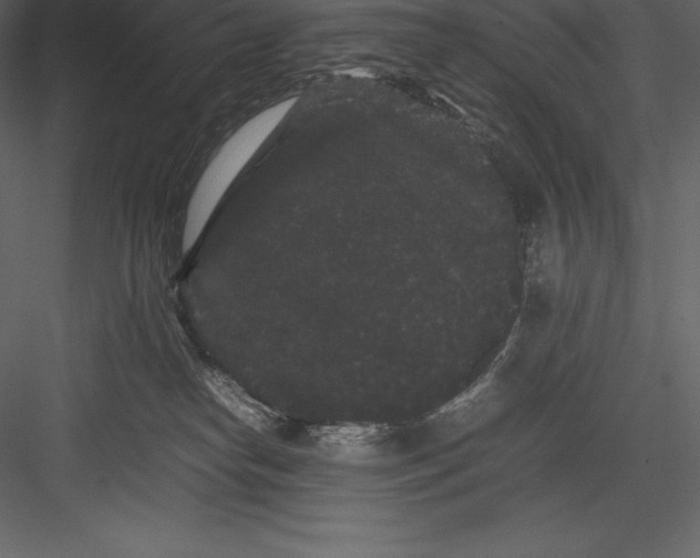 X0000082940182200702222256