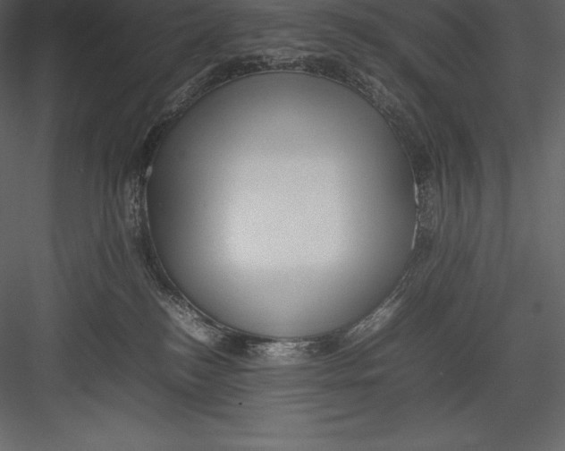 X0000082940184200702222256