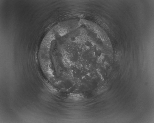 X0000082940185200702222256