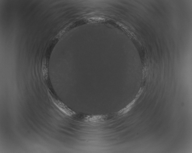 X0000082940186200702222256