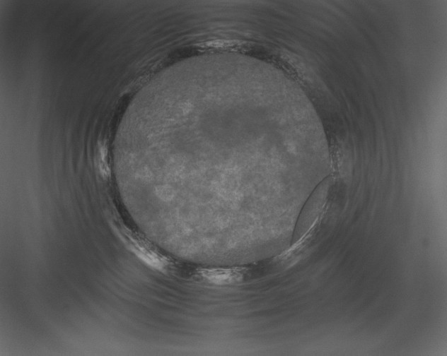 X0000082940187200702222256