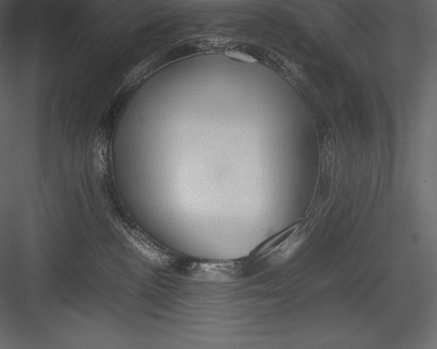 X0000082940188200702222256