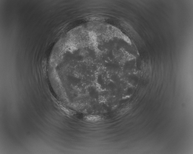 X0000082940189200702222256