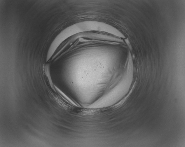 X0000082940190200702222256