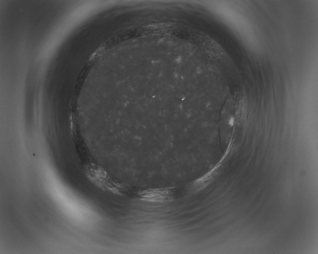 X0000082940191200702222256