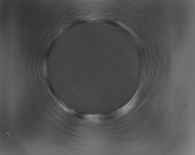 X0000082940192200702222256