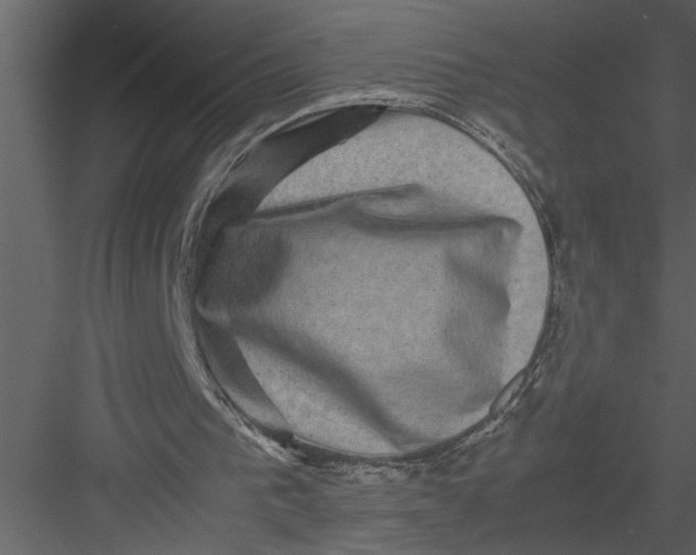 X0000082940193200702222256