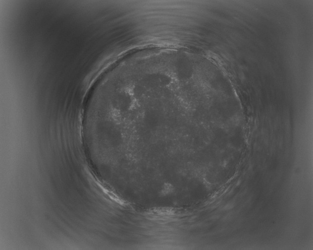 X0000082940194200702222256