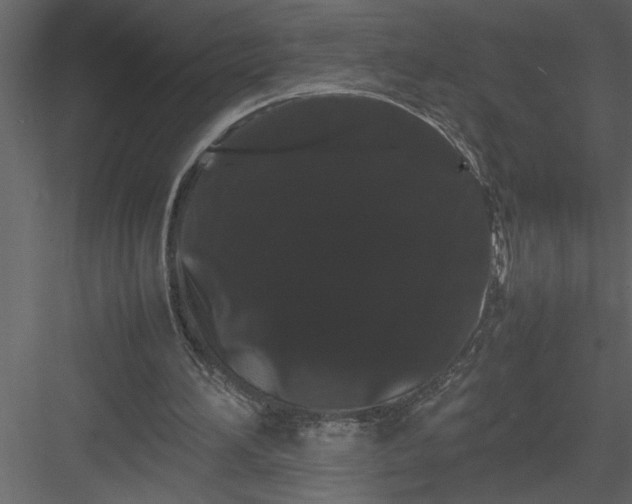 X0000082940196200702222256