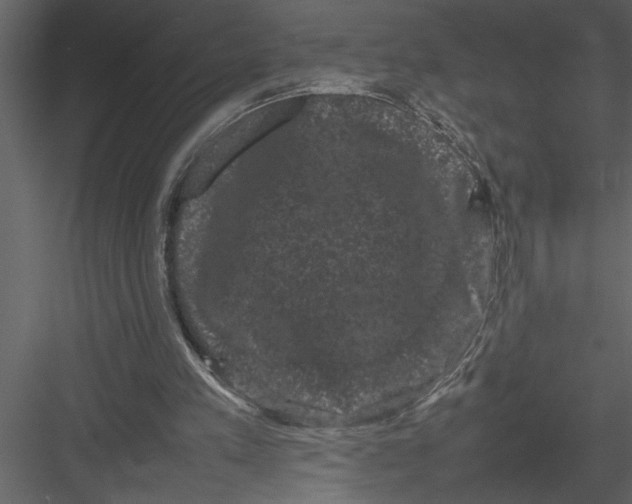 X0000082940197200702222256