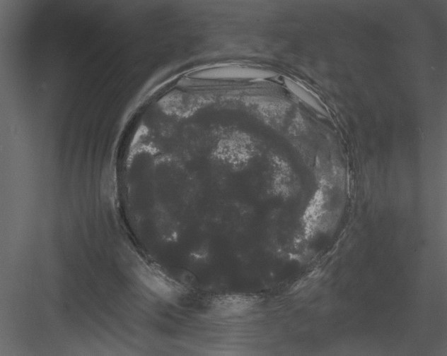 X0000082940198200702222256