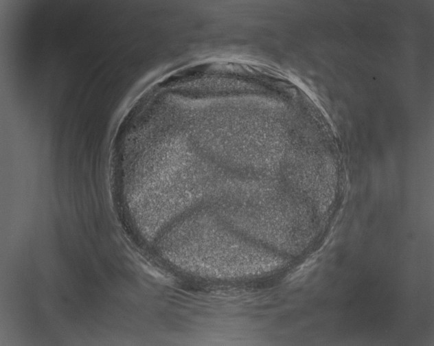 X0000082940199200702222256