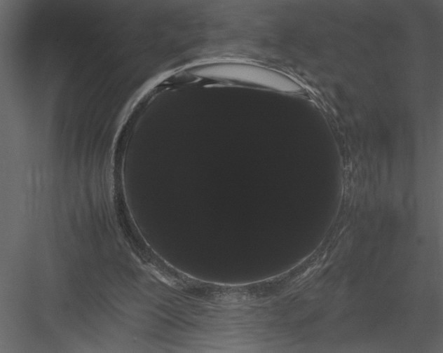 X0000082940200200702222255