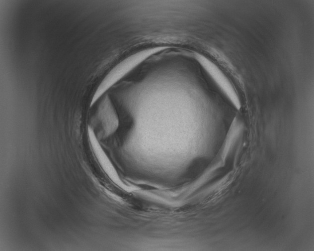 X0000082940201200702222255