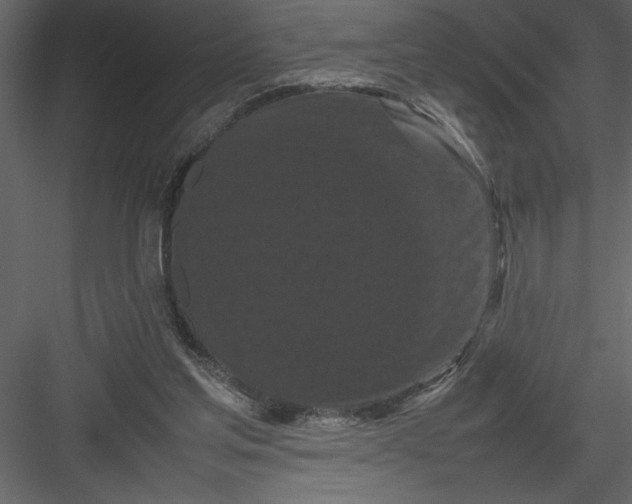 X0000082940205200702222255