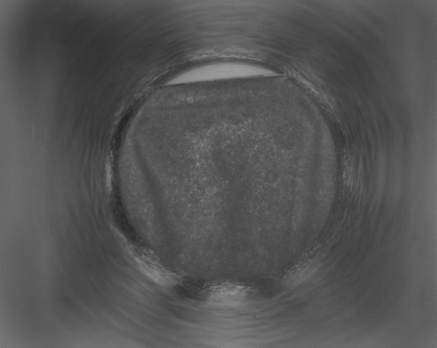 X0000082940206200702222255