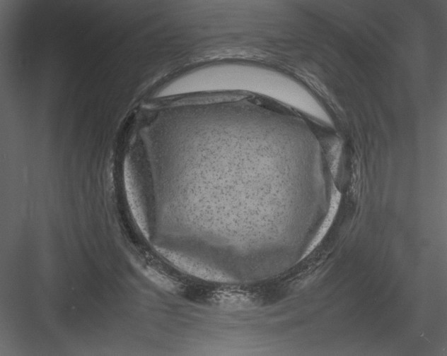 X0000082940207200702222255