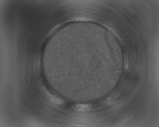 X0000082940208200702222255