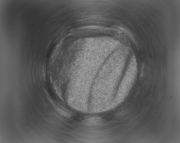 X0000082940210200702222255