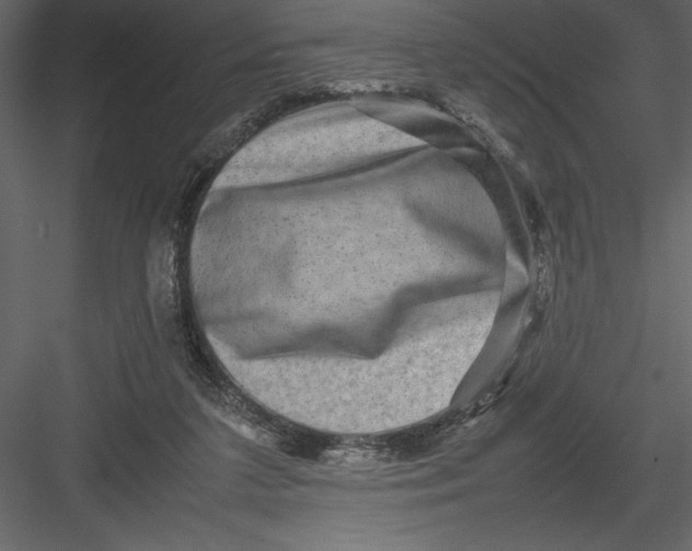 X0000082940211200702222255