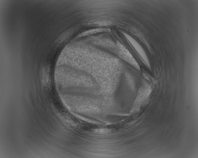 X0000082940212200702222255