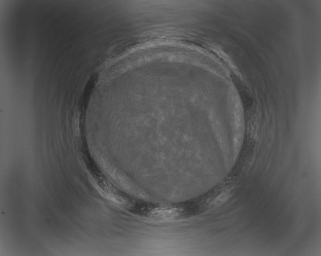 X0000082940213200702222255