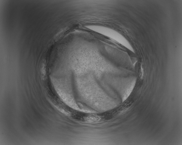 X0000082940215200702222255