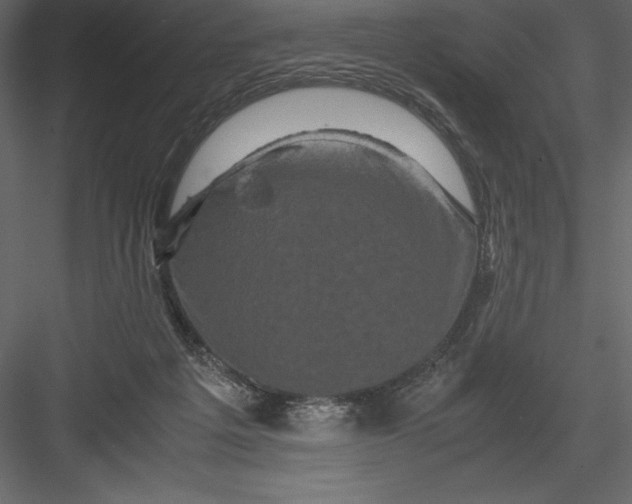 X0000082940217200702222255