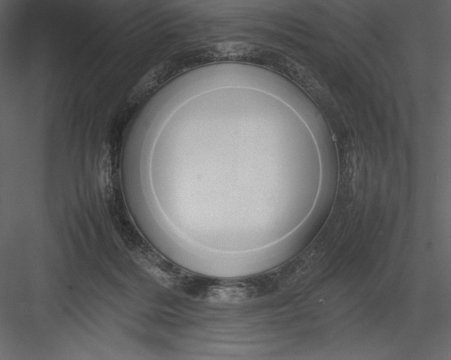 X0000082940220200702222255