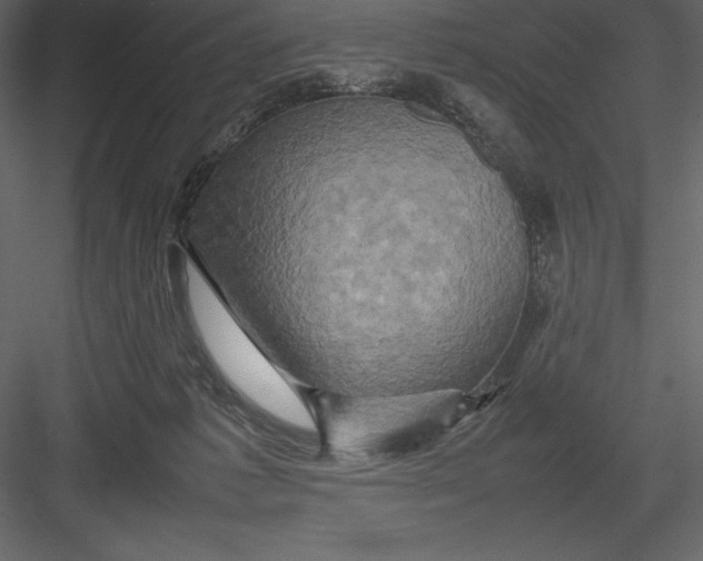 X0000082940221200702222255