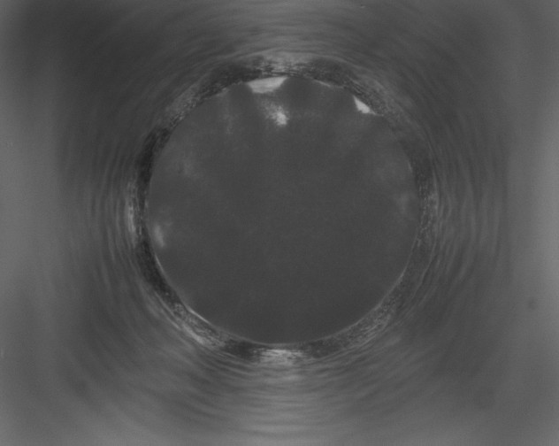 X0000082940222200702222255