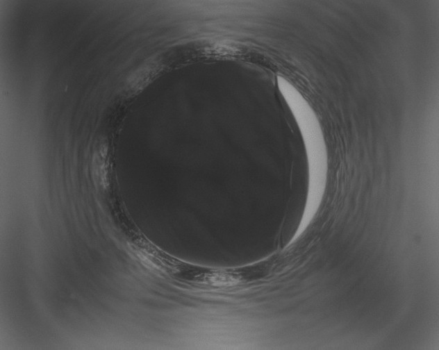 X0000082940223200702222255