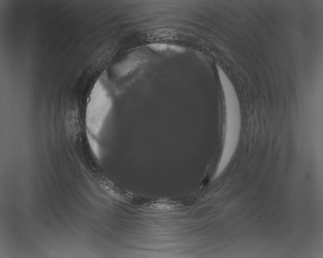 X0000082940224200702222255