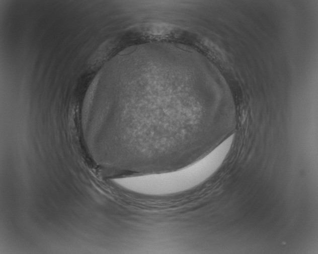 X0000082940225200702222255