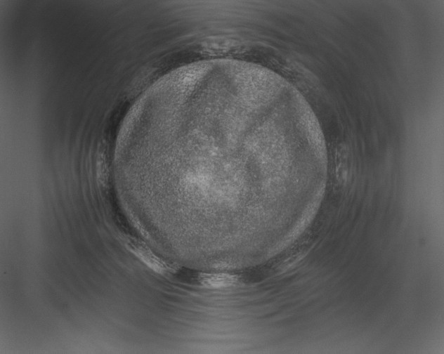 X0000082940226200702222255