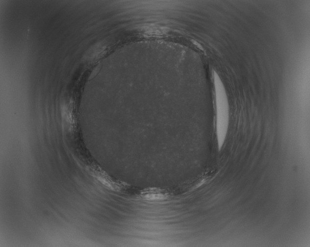 X0000082940228200702222255