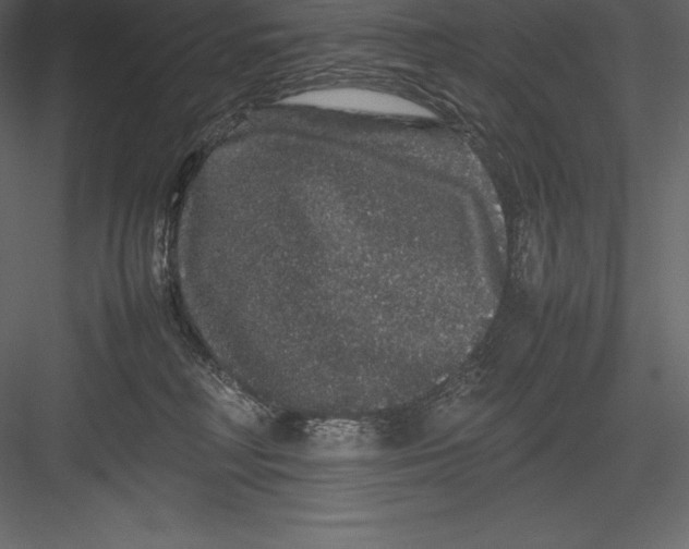 X0000082940230200702222255