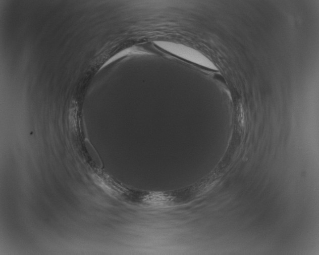 X0000082940231200702222255