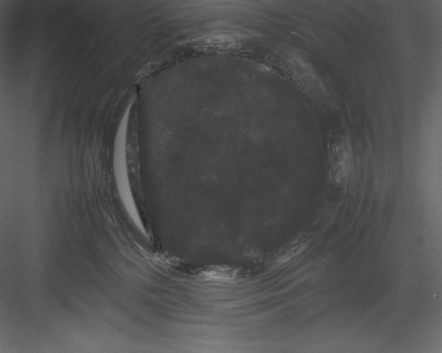 X0000082940232200702222255