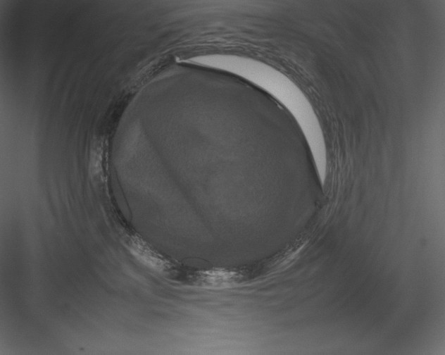 X0000082940233200702222255