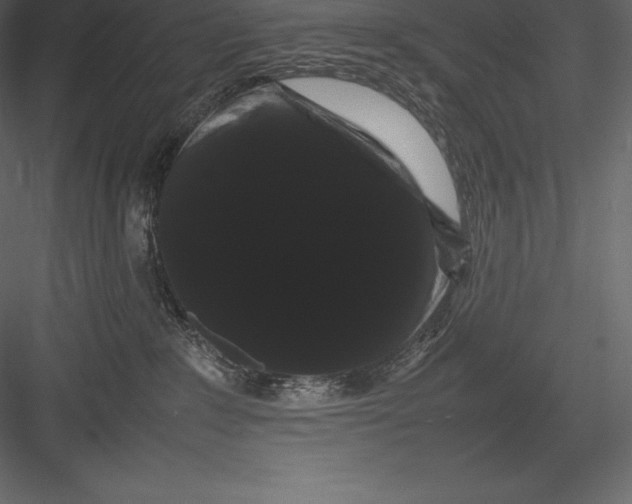 X0000082940235200702222255