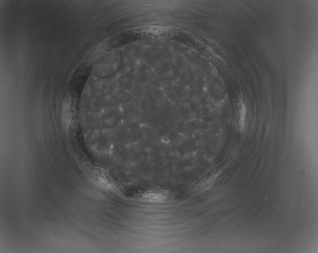 X0000082940236200702222255