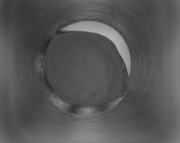 X0000082940237200702222255