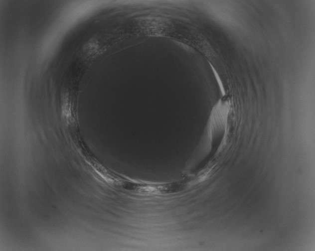 X0000082940239200702222255