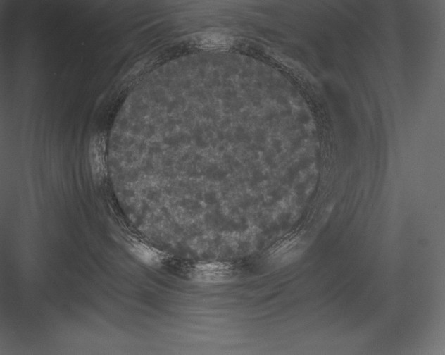 X0000082940240200702222255